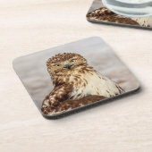 Onvolgroeide Rode Hawk op de grond Bier Onderzetter (Linkerzijde)