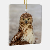 Onvolgroeide Rode Hawk op de grond Keramisch Ornament (Rechts)