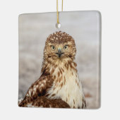 Onvolgroeide Rode Hawk op de grond Keramisch Ornament (Links)