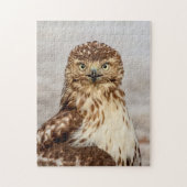 Onvolgroeide Rode Hawk op de grond Legpuzzel (Verticaal)