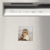 Onvolgroeide Rode Hawk op de grond Magneet (Insitu (Vaatwasser))