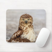Onvolgroeide Rode Hawk op de grond Muismat (Met muis)