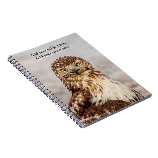 Onvolgroeide Rode Hawk op de grond Notitieboek (Rechterzijde)