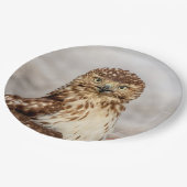 Onvolgroeide Rode Hawk op de grond Papieren Bordje (Gekanteld)