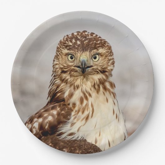Onvolgroeide Rode Hawk op de grond Papieren Bordje (Voorkant)
