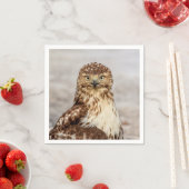 Onvolgroeide Rode Hawk op de grond Servetten (Insitu)