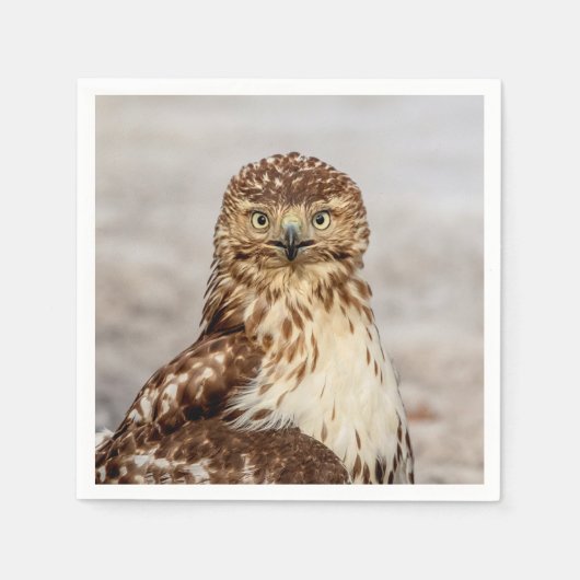 Onvolgroeide Rode Hawk op de grond Servetten (Voorkant)