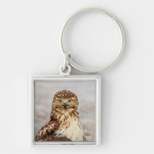 Onvolgroeide Rode Hawk op de grond Sleutelhanger