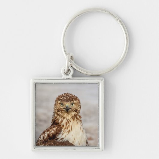 Onvolgroeide Rode Hawk op de grond Sleutelhanger (Voorkant)