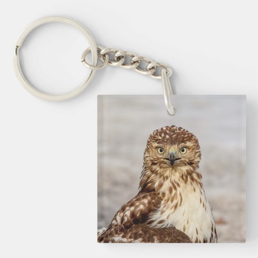 Onvolgroeide Rode Hawk op de grond Sleutelhanger (Voorkant)