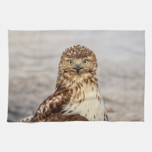 Onvolgroeide Rode Hawk op de grond Theedoek