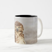 Onvolgroeide Rode Hawk op de grond Tweekleurige Koffiemok (Voorkant rechts)