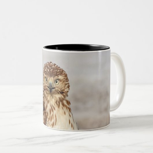 Onvolgroeide Rode Hawk op de grond Tweekleurige Koffiemok (Voorkant rechts)