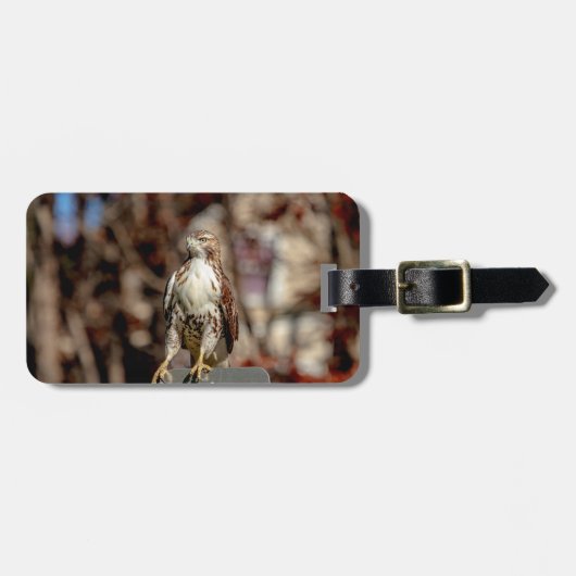 Onvolgroeide Rode Tailed Hawk Bagagelabel (Voorkant horizontaal)