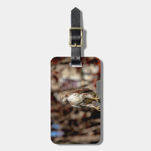 Onvolgroeide Rode Tailed Hawk Bagagelabel (Voorkant verticaal)