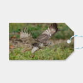Onvolgroeide Rode Tailed Hawk Cadeaulabel (Voorkant (Horizontaal))