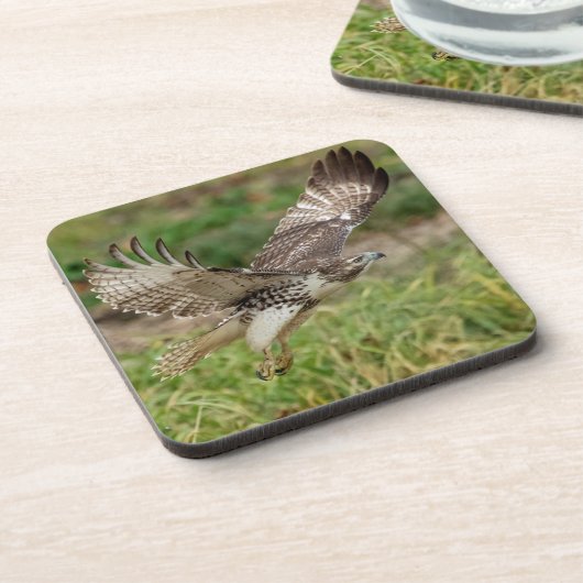 Onvolgroeide Rode Tailed Hawk Drankjes Onderzetter (Linkerzijde)