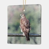 Onvolgroeide Rode Tailed Hawk Keramisch Ornament (Links)