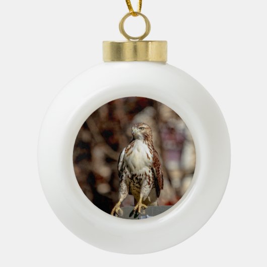 Onvolgroeide Rode Tailed Hawk Keramische Bal Ornament (Voorkant)