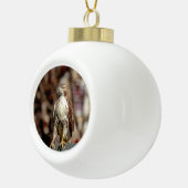 Onvolgroeide Rode Tailed Hawk Keramische Bal Ornament (Rechts)