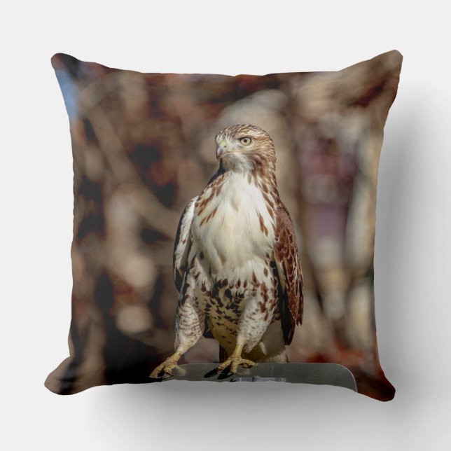 Onvolgroeide Rode Tailed Hawk Kussen (Voorkant)