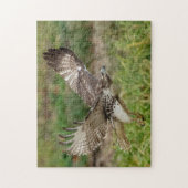 Onvolgroeide Rode Tailed Hawk Legpuzzel (Verticaal)