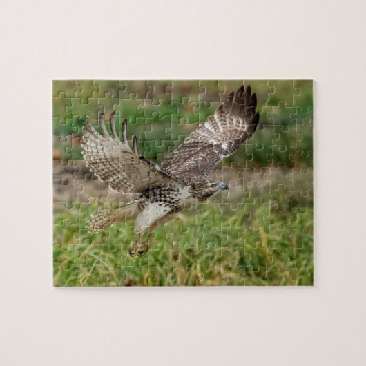 Onvolgroeide Rode Tailed Hawk Legpuzzel (Horizontaal)
