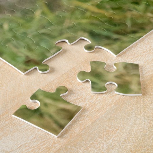 Onvolgroeide Rode Tailed Hawk Legpuzzel (Zijkant)