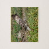 Onvolgroeide Rode Tailed Hawk Legpuzzel (Verticaal)