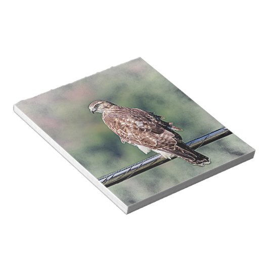 Onvolgroeide Rode Tailed Hawk Notitieblok (Schuin)