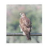 Onvolgroeide Rode Tailed Hawk Notitieblok (Voorkant)