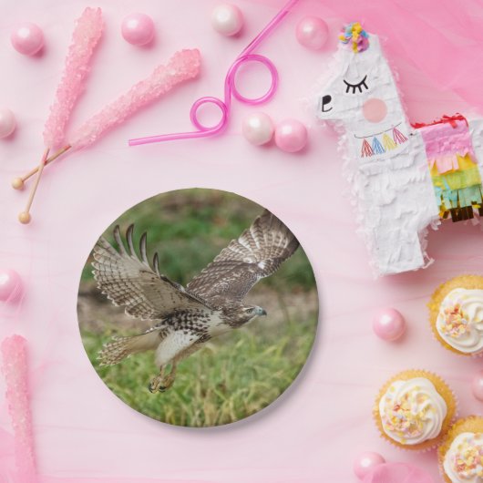 Onvolgroeide Rode Tailed Hawk Papieren Bordje (Feest)