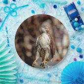 Onvolgroeide Rode Tailed Hawk Papieren Bordje (Feest)