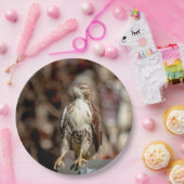 Onvolgroeide Rode Tailed Hawk Papieren Bordje (Feest)