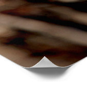 Onvolgroeide Rode Tailed Hawk Poster (Hoek)