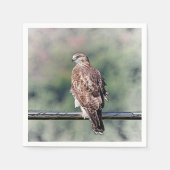 Onvolgroeide Rode Tailed Hawk Servetten (Voorkant)