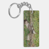 Onvolgroeide Rode Tailed Hawk Sleutelhanger (Voorkant Links)