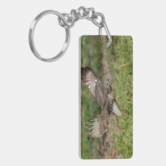 Onvolgroeide Rode Tailed Hawk Sleutelhanger (Voorkant Links)