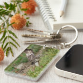 Onvolgroeide Rode Tailed Hawk Sleutelhanger (Voorkant Rechts)