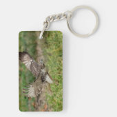 Onvolgroeide Rode Tailed Hawk Sleutelhanger (achterkant)