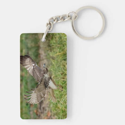 Onvolgroeide Rode Tailed Hawk Sleutelhanger (achterkant)