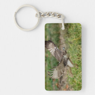 Onvolgroeide Rode Tailed Hawk Sleutelhanger