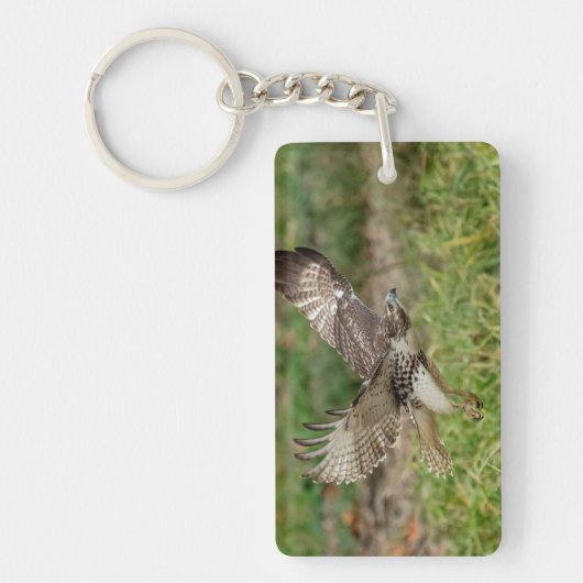 Onvolgroeide Rode Tailed Hawk Sleutelhanger (Voorkant)