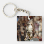 Onvolgroeide Rode Tailed Hawk Sleutelhanger (Voorkant)