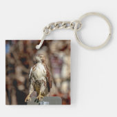 Onvolgroeide Rode Tailed Hawk Sleutelhanger (Achterkant)