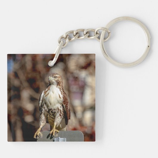 Onvolgroeide Rode Tailed Hawk Sleutelhanger (Achterkant)