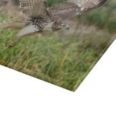 Onvolgroeide Rode Tailed Hawk Snijplank (Hoek)