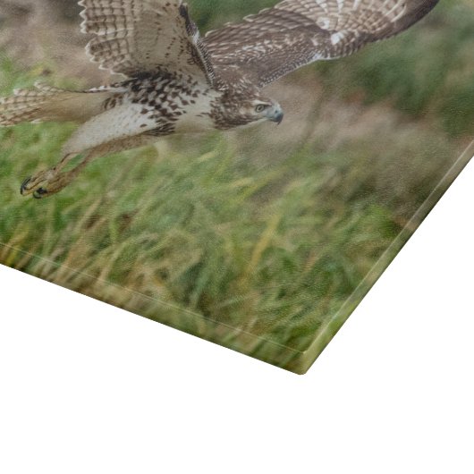 Onvolgroeide Rode Tailed Hawk Snijplank (Hoek)