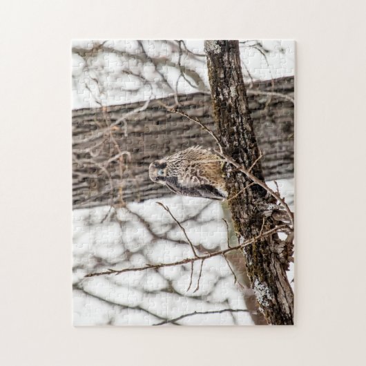 onvolgroeide valk legpuzzel (Verticaal)