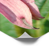 Onvolkomenheid Poster (Hoek)